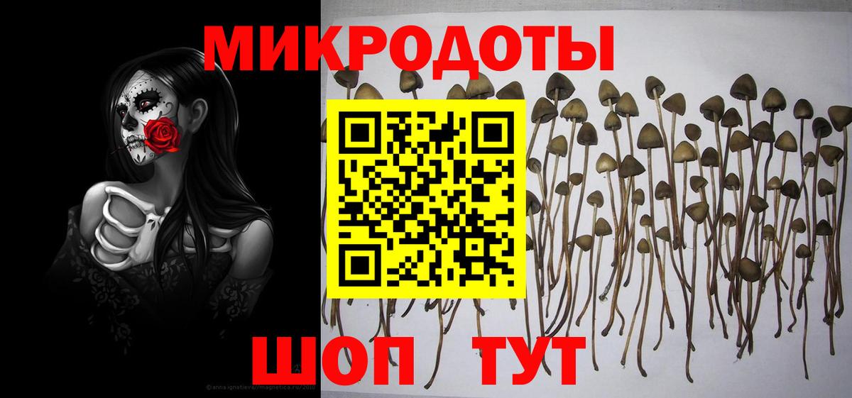 Псилоцибиновые грибы Psilocybine cubensis  Вход с VPN  Коряжма 