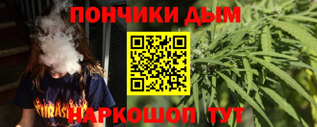 Канабис план Коряжма